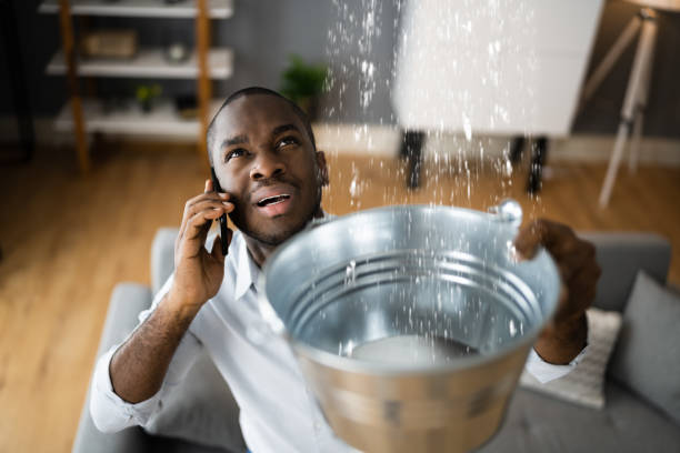 Best Water damage cleanup near me  in St Jaco, IL
