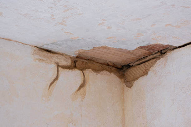 Best Water damage restoration near me  in St Jaco, IL