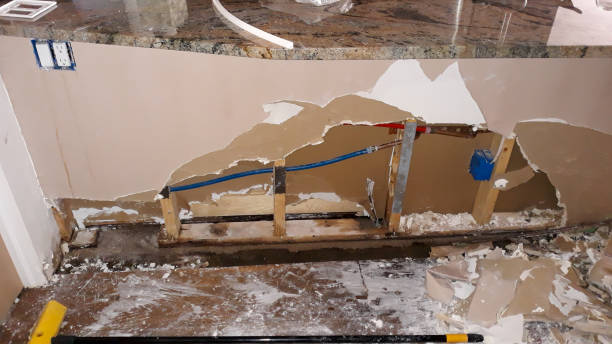 Professional Water damage restoration in St Jaco, IL