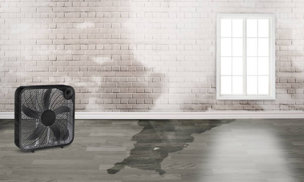 Fire Damage Restoration in St Jaco, IL
