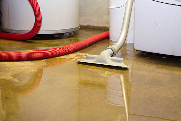 24/7 water damage repair in St Jaco, IL