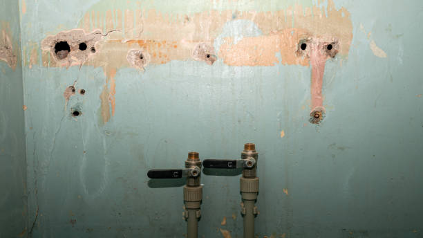 Best Flood restoration services  in St Jaco, IL