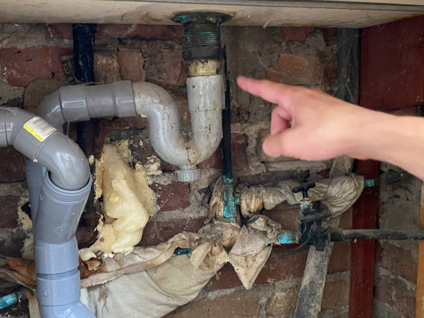 Best Mold removal after water damage  in St Jaco, IL